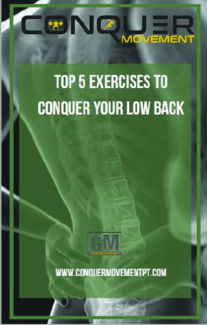 Low Back Exercises Wilmington Physical Therapy - Conquer Movement PT